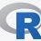 r language