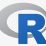 r language